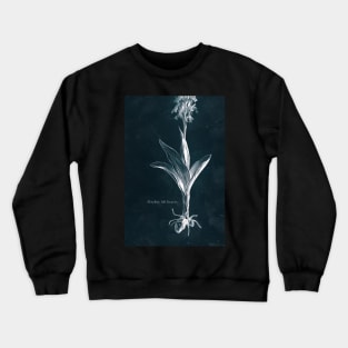 Cyanotype - Orchis Militaris - C Crewneck Sweatshirt